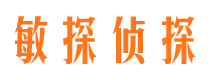 黔西南市侦探调查公司